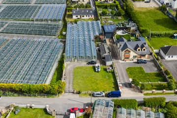 House and Glasshouses, Sundrive Road, Rush, Co. Dublin, K56 FH32 — photo 3