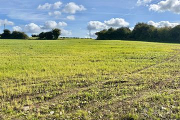 Ballinlough, Ballyroan, Co. Laois — photo 3