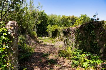 c. 5 Acres at Lane Of Stones, Carne, Co. Wexford., Carne, Co. Wexford — photo 3