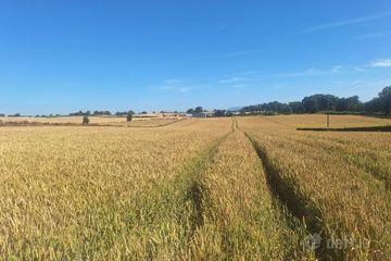 Lisrenny, Tallanstown, Co. Louth