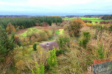 Woodlawn, New Inn, Ballinasloe, Co. Galway — photo 3