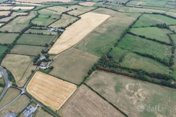 Ridge, Urlingford, Co. Kilkenny — photo 3