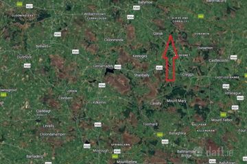 Approx, 4.77 Ha (11, 8 Acres), Ballincurry, Glenamaddy, Glinsk, Co. Galway — photo 2