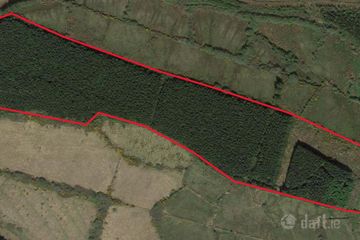 Forestry Section, hayshed and yard. 