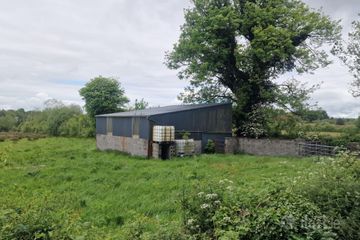 c.1.877 acres and Shed Moorfield, Williamstown, Co. Galway — photo 2