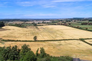 Rathroe, Killenaule, Thurles, Co. Tipperary — photo 2
