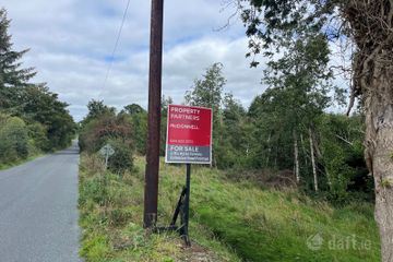 Forestry at Rosduff, Aughnacliffe, Co. Longford — photo 2