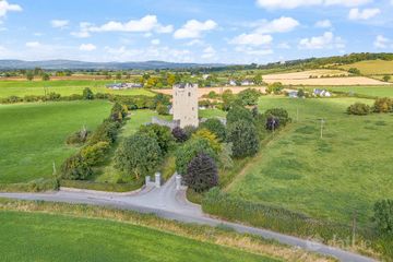 Ballytarsna Castle, Ballytarsna, Cashel, Co. Tipperary, E25TX39 — photo 3