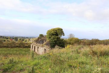 C. 12.5 acres & Derelict Cottage, Curryanne, Swinford, Co. Mayo — photo 3
