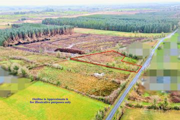 Currasallagh, Lisacul, Roscommon — photo 3