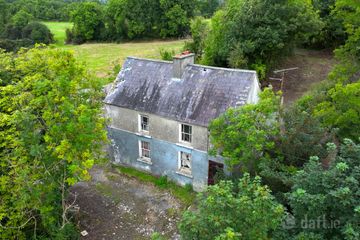 Dingins, Lough Gowna, Co. Cavan — photo 2