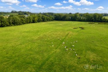 c. 15.36 Acres, Newtown, Shanacloon Lane, Kildare, Co. Kildare — photo 2