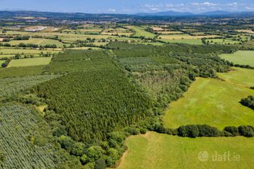 Lot 3 - Forestry At Newtown, Bonnettstown, Co. Kilkenny, Tullaroan, Co. Kilkenny