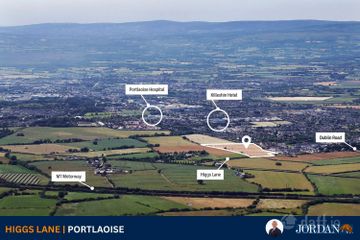 c. 13 Acres, Higgs Lane, Portlaoise, Co. Laois