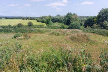 Knockanina, Mountrath, Co. Laois
