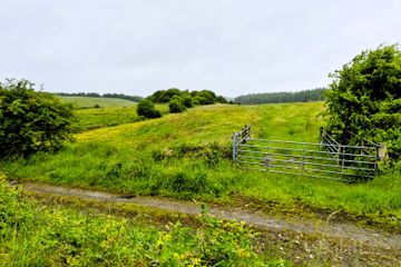 Liscottle, Swinford, Co. Mayo