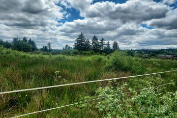 Glencollins Ballydesmond, Ballydesmond, Co. Cork — photo 3
