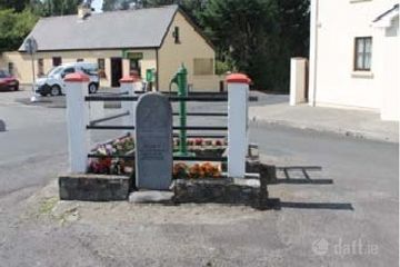 The Orchard, Narraghmore, Narraghmore, Co. Kildare — photo 3