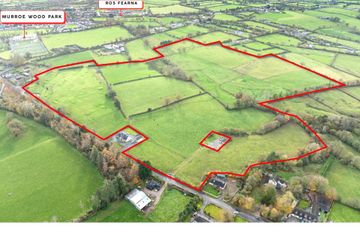 Glenstal Cross, Murroe, Co. Limerick, V94WNH6