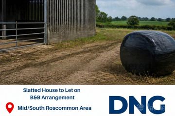 Slatted House To Let On A B&B Arrangement, Roscommon, Co. Roscommon