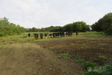 Ratharoon West, Bandon, Co. Cork — photo 2