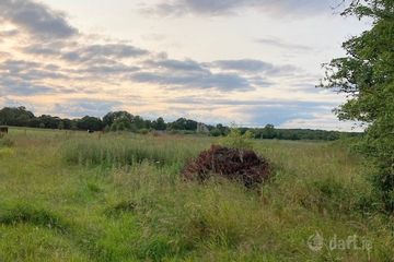Faddan, Carrig, Birr, Co. Offaly — photo 2