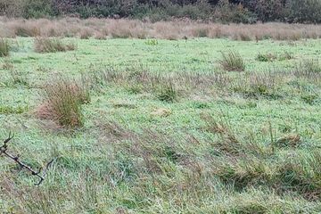 Glencollins, Ballydesmond, Co. Cork — photo 2