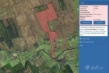 c. 81 Acres Forestry, Maulnahone, Cahersiveen, Co. Kerry — photo 3