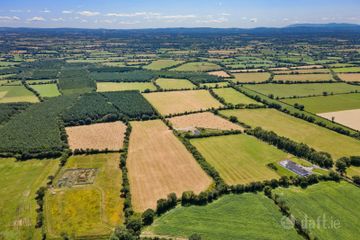 Farm At Newtown - Entire, Bonnettstown, Co. Kilkenny, Tullaroan, Co. Kilkenny — photo 2