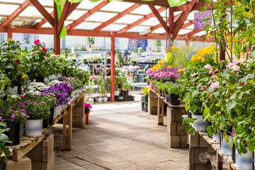 Garden Centre, Frascati Centre, Blackrock, Co. Dublin