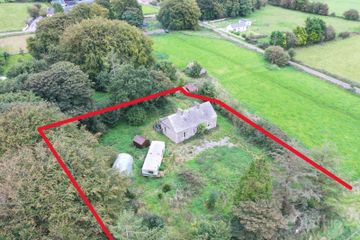 Lisheen, Williamstown, Glenamaddy, Co. Galway, F45P119 — photo 3