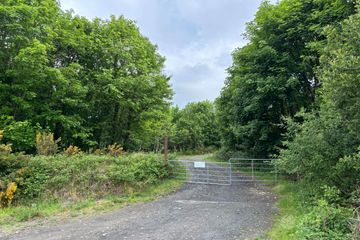 Project West Forestry, Ballykelly, Co. Clare — photo 2