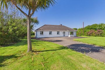 Dawn Mist, Ballyhire, Kilrane, Co. Wexford, Y35K2T7 — photo 2