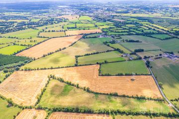 32.6 Acres Ballygibbon East, Carbury, Co. Kildare — photo 3