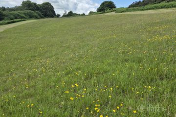 Inchirahilly, Farnanes, Co. Cork — photo 2
