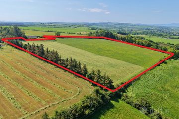(LOT 2) - 9.9 Acres at Tanavalla, Listowel, Co. Kerry — photo 3