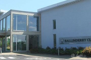 Ballinderry, Mullingar, Co. Westmeath, Mullingar, Co. Westmeath — photo 3