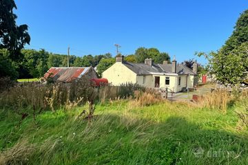 Tremane, Roscommon, Scardaun, Co. Roscommon, F42KX07 — photo 2