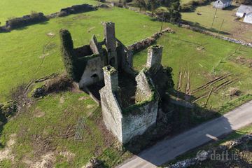 C. 7 Acres, Killiaghan & Gort, Lecarrow, Co. Roscommon — photo 3