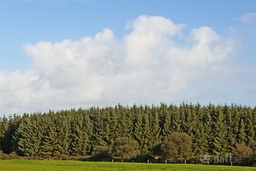 Knockerra, Cooraclare, Kilrush, Co. Clare, V15YY84