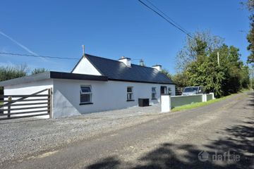 Bella, Frenchpark, Lurgan, Co. Roscommon, F45TY48 — photo 3