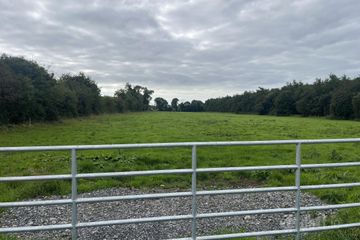 Clonin lane, Rhode, Co. Offaly — photo 3