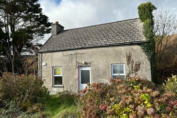 Castlecove, Castlecove, Co. Kerry, V93E6V9 — photo 3
