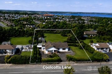 Saint Anthony, Coolcotts Lane, Wexford Town, Co. Wexford, Y35T9N6 — photo 3