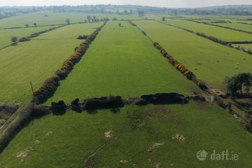 C. 7 Acres, Killiaghan & Gort, Lecarrow, Co. Roscommon — photo 2