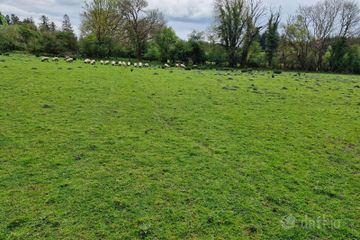 Newgrove, Kilrickle, Loughrea, Co. Galway — photo 3