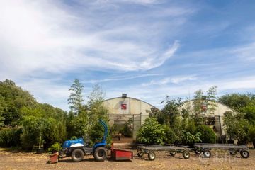 Stams Bamboo Nursery Ltd., Ballinwillin, Lismore, Co. Waterford, P51DK12 — photo 2