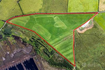 Lands of c. 25.50 Acres at Derryharney, Belmont, Co. Offaly — photo 2