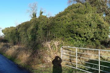 The Island, Keenagh, Co. Longford — photo 2