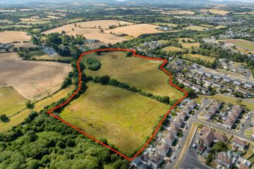c. 8.7 hectares / 21.9 acres at Carley’s Bridge, Enniscorthy, Co. Wexford — photo 3